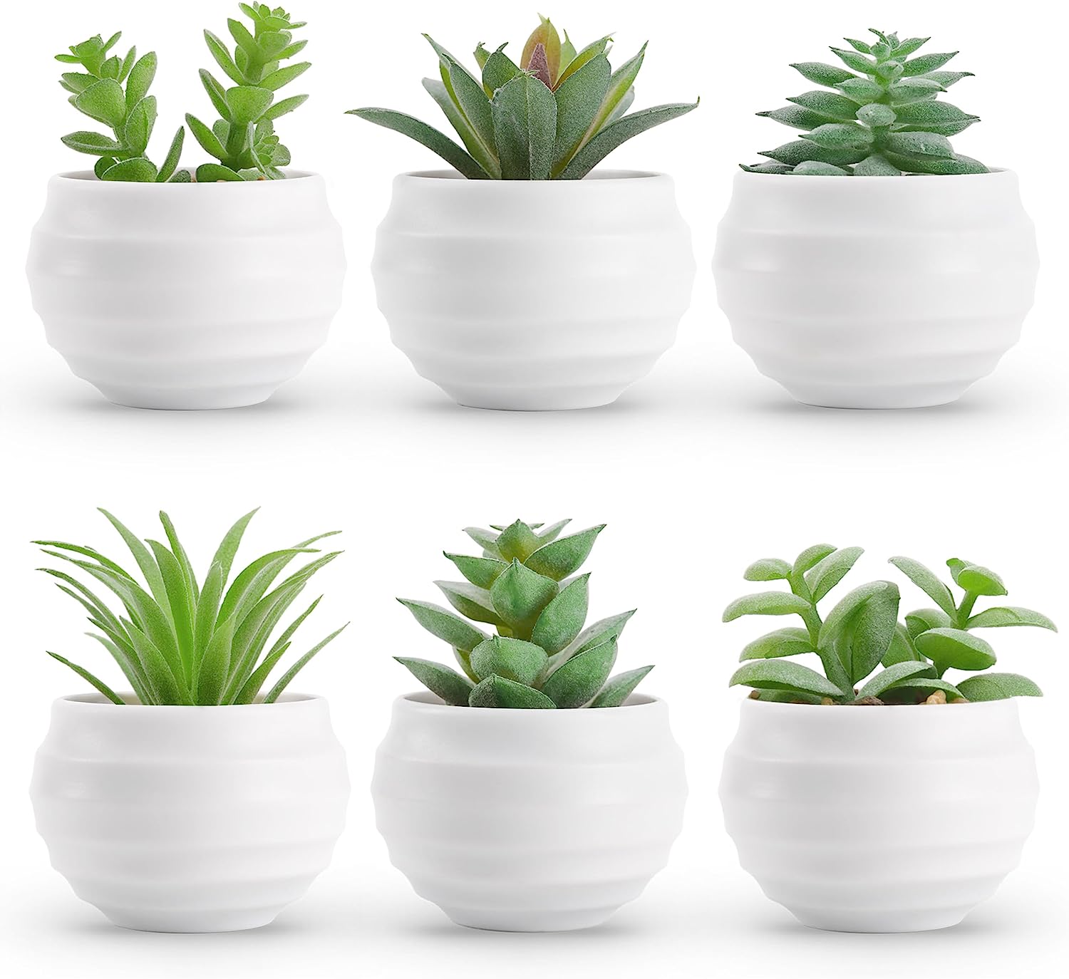 Set of 6 Succulents Plants Artificial Decor